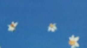 Bad Bunny attends The Metropolitan Museum of Art's Costume Institute benefit gala celebrating the opening of the "Superfine: Tailoring Black Style" exhibition on Monday, May 5, 2025, in New York. (Photo by Evan Agostini/Invision/AP)