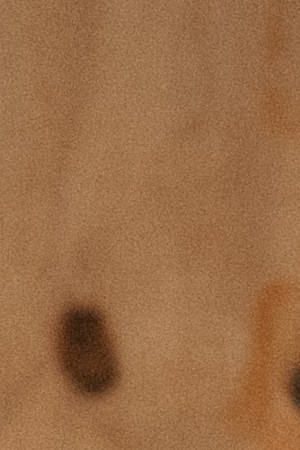 Bad Bunny_MáS FOToS World Tour