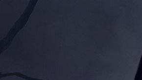 Wednesday cast photo