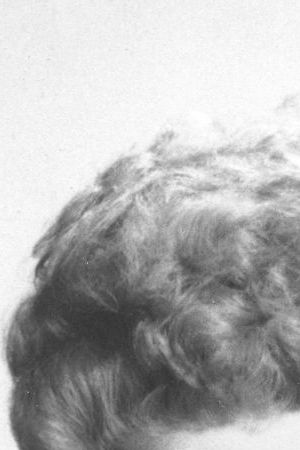 Comedian-actress Lucille Ball and her husband, musician-actor Desi Arnaz, are shown in this undated photo. (AP Photo)