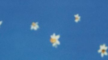 Bad Bunny attends The Metropolitan Museum of Art's Costume Institute benefit gala celebrating the opening of the "Superfine: Tailoring Black Style" exhibition on Monday, May 5, 2025, in New York. (Photo by Evan Agostini/Invision/AP)