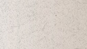 Jesse & Joy_El Despecho Tour