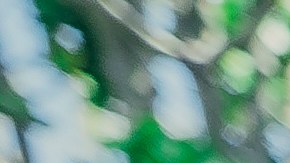 Photography by Aksa Lima.