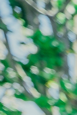 Photography by Aksa Lima.