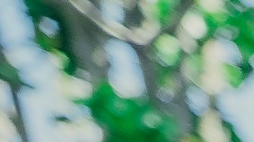 Photography by Aksa Lima.