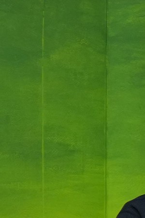 _Hidrogenesse