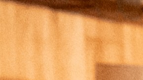 Photography by Itzel Alejandra Martinez