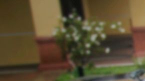 FILE - In this Tuesday, Feb. 7, 2017 photo released by U.S. Immigration and Customs Enforcement, foreign nationals are arrested during a targeted enforcement operation conducted by ICE aimed at immigration fugitives, re-entrants and at-large criminal aliens in Los Angeles. People arrested by deportation officers increasingly have no criminal backgrounds, according to figures released Friday, Feb. 23, 2018, reflecting the Trump administration's commitment to cast a wider net. (Charles Reed/U.S. Immigration and Customs Enforcement via AP)