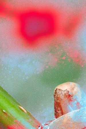 Art by Alan López for Remezcla