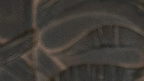 Fuerza Regida_JOP_Competition