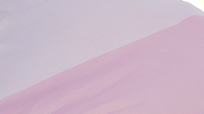 Mariah waves a trans pride flag during a pro-transgender rights protest outside of Seattle Children's Hospital after the institution postponed some gender-affirming surgeries for minors following an executive order by President Donald Trump, Sunday, Feb. 9, 2025, in Seattle. (AP Photo/Lindsey Wasson)