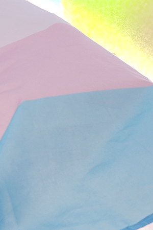 Mariah waves a trans pride flag during a pro-transgender rights protest outside of Seattle Children's Hospital after the institution postponed some gender-affirming surgeries for minors following an executive order by President Donald Trump, Sunday, Feb. 9, 2025, in Seattle. (AP Photo/Lindsey Wasson)