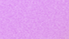 Pedro Pascal in a "Protect the Dolls" shirt