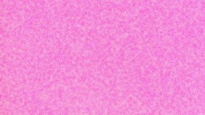 June Tarot Card reading collage