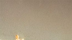 mizuno_quebrada-cover