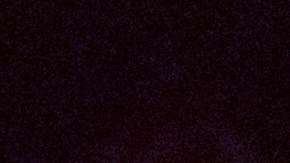 Puerto Rico Bad Bunny_Special Guests