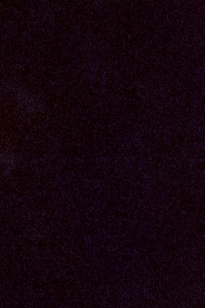 Puerto Rico Bad Bunny_Special Guests