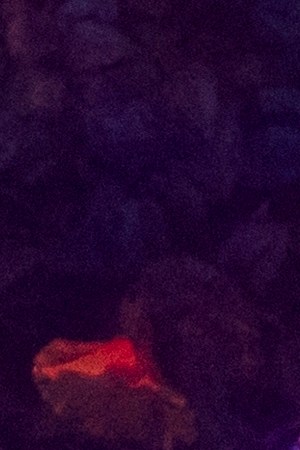 Bad Bunny_No Me Quiero Ir_Luian