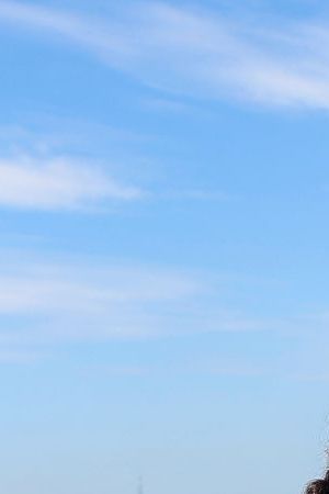 Amanda Serrano, Jake Paul, and Katie Taylor at the Empire State Building