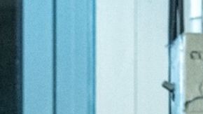 Bad Bunny Caught Stealing