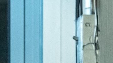 Bad Bunny Caught Stealing