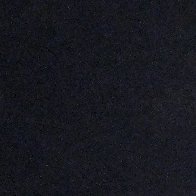 Photo by Paras Griffin/Getty Images