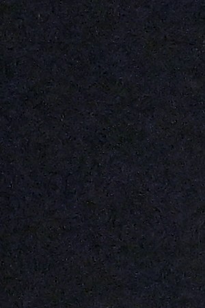 Photo by Paras Griffin/Getty Images