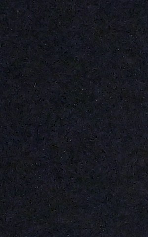 Photo by Paras Griffin/Getty Images