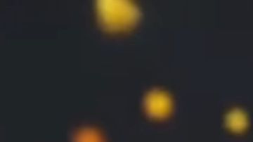 Laura Perez from Miss Universe Latina, El Reality