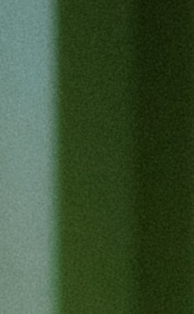 Ela Taubert_PREGUNTAS A LAS