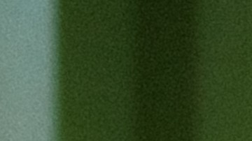 Ela Taubert_PREGUNTAS A LAS