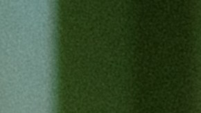 Ela Taubert_PREGUNTAS A LAS