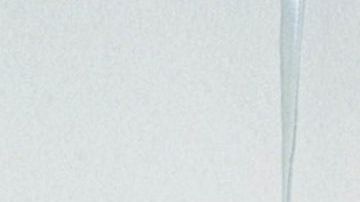 Rio Uribe from Rio World