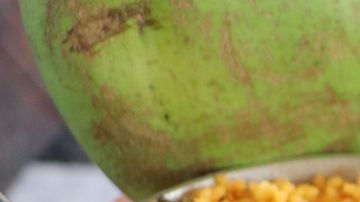 Puerto rican food sampler in restaurant. Asset id: 1555801496