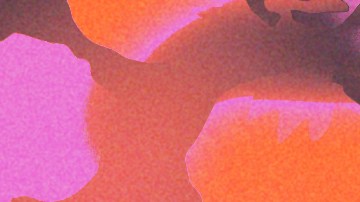 Anita de Monte Laughs Last by Xochitl Gonzalez