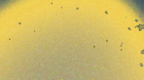 Pedro Pascal, Liza Colón-Zayas, and Colman Domingo collage for 2025 Emmy Awards