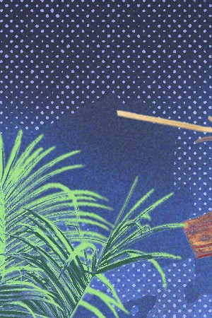 collage of Puerto Rican businesses for Bad Bunny residency post