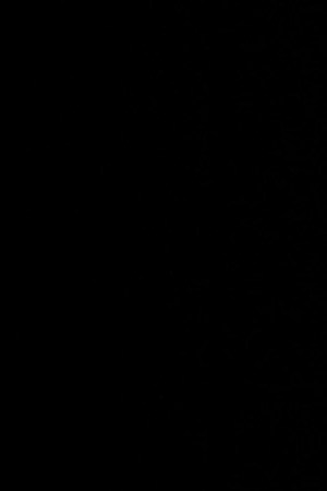 La Casa de los Famosos México