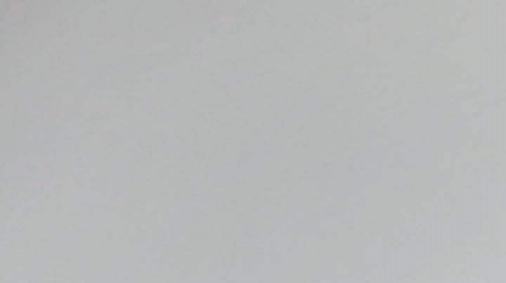 Palmieri