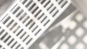 Sydney Chandler in Alien Earth