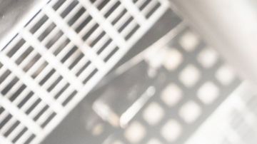 Sydney Chandler in Alien Earth