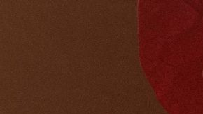 Desi Perkins Dezi Skin