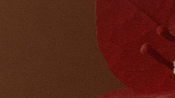 Desi Perkins Dezi Skin