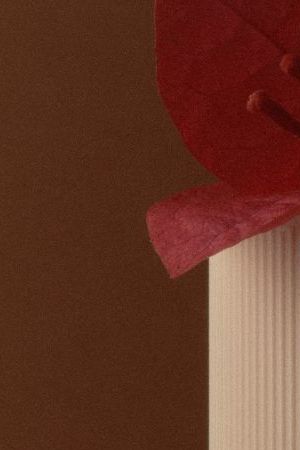 Desi Perkins Dezi Skin