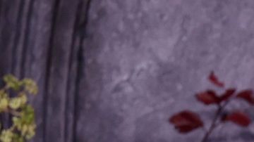 Jenna Ortega at Wednesday event in NYC