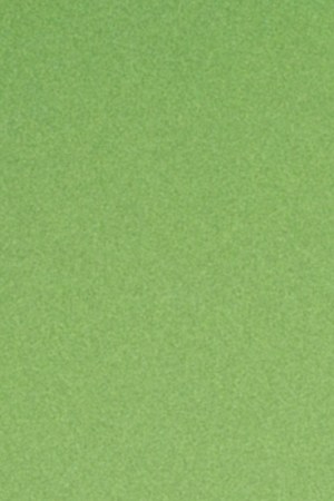 Silvana Estrada_Vendrán Suaves Lluvias Tour