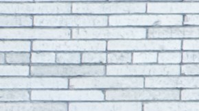 Photography by Itzel Martínez.