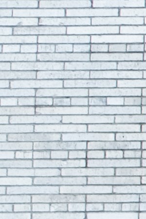 Photography by Itzel Martínez.