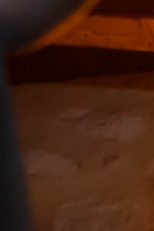 Nathy Peluso_PATRÓN