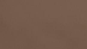 Nopalera product lineup